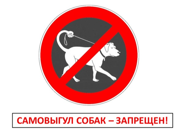 🚫 Самовыгул домашних животных запрещён!.