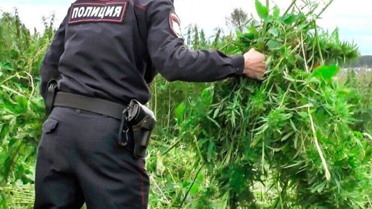 На территории Селенгинского района проводится межведомственная комплексная оперативно-профилактическая операция «Мак - 2025» в три этапа:.