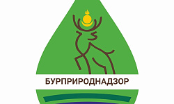 Предприниматели в сфере туризма!. Предприниматели в сфере туризма!.
